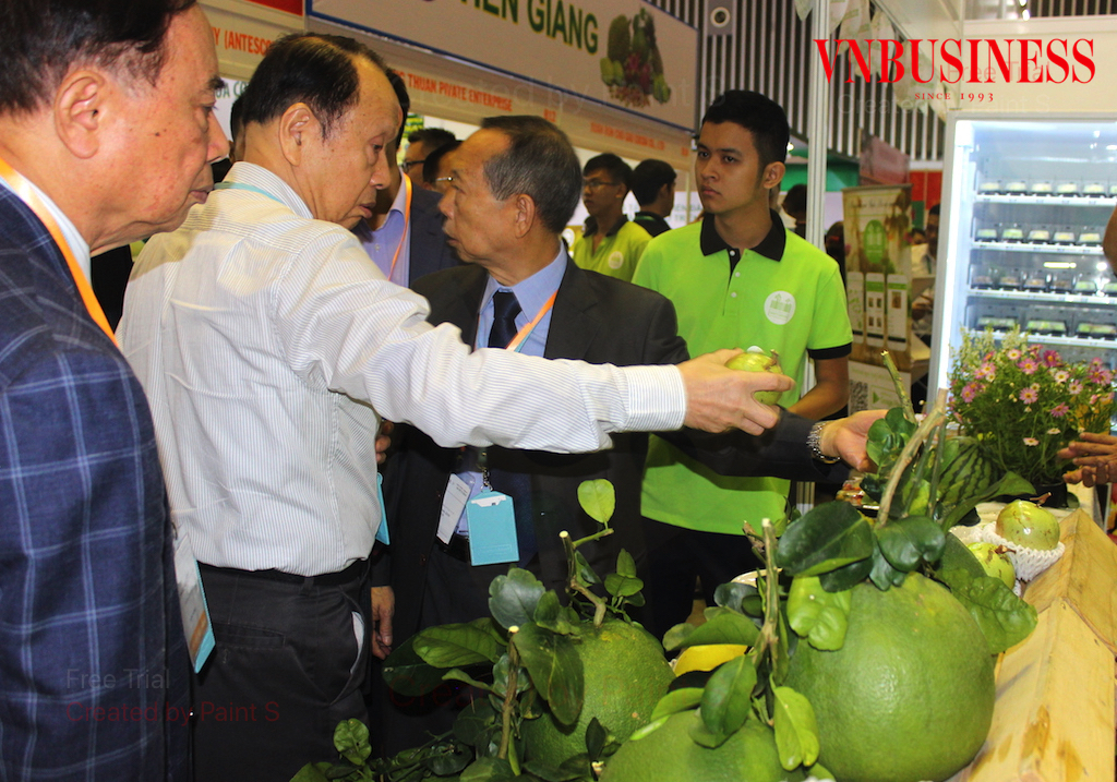 Soi sức cạnh tranh giữa ‘cơn sốt trái cây ASEAN’ ở Trung Quốc
