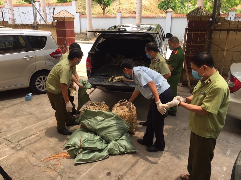 Lo ngại bùng phát dịch cúm H5N1, Bộ NN&PTNT chỉ đạo chặn nhập lậu gia cầm