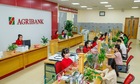 Agribank tri ân khách hàng gửi tiền nhân dịp 35 năm thành lập