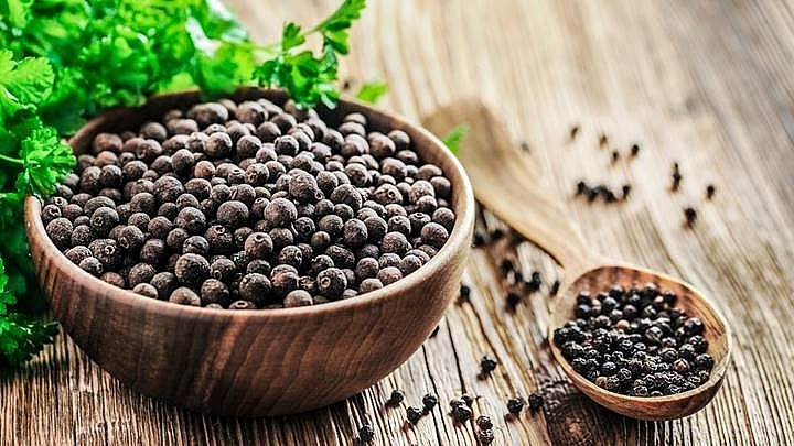 Giá tiêu tiếp tục giảm 500 đồng/kg