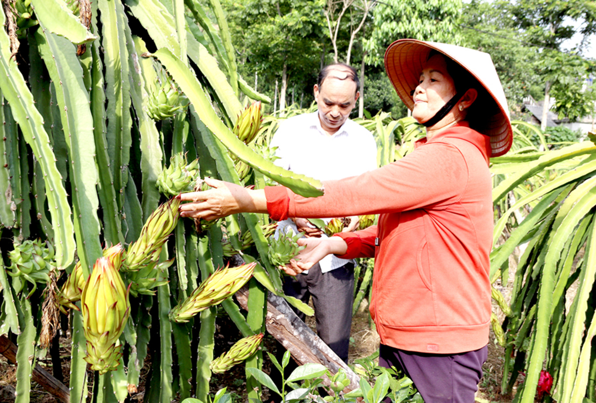 Hành trình 'hiện đại hóa' nông thôn ở Bắc Quang
