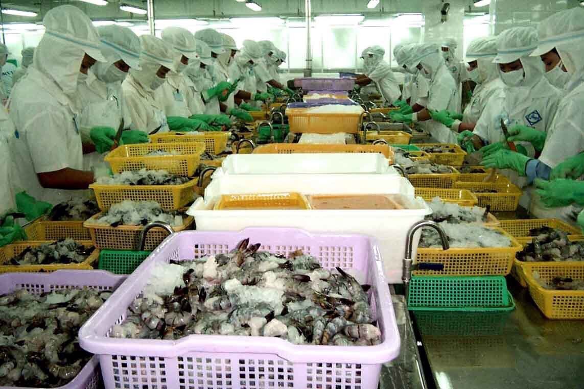 Dự báo xuất khẩu tôm 2023 rất khó khăn, giá bán thấp hơn