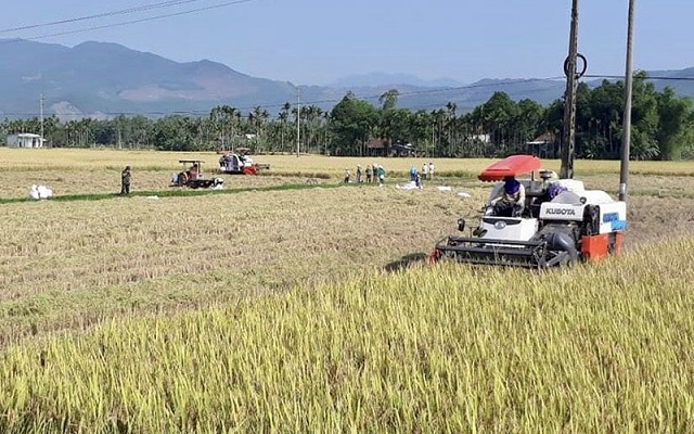 Nông thôn mới thời công nghệ số