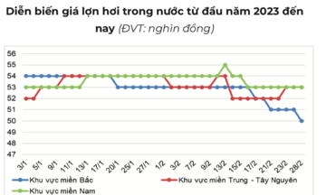 Giá heo hơi bao giờ tăng trở lại?