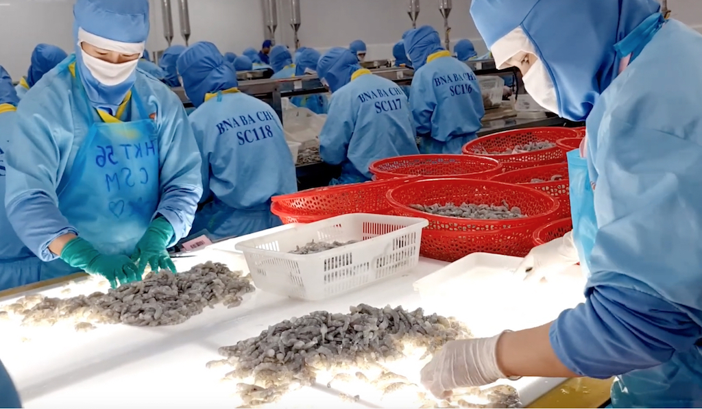 Nan giải xuất khẩu tôm với giá đang ở 'đáy'