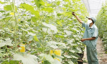 Công nghệ thay đổi tầm nhìn nông dân Việt