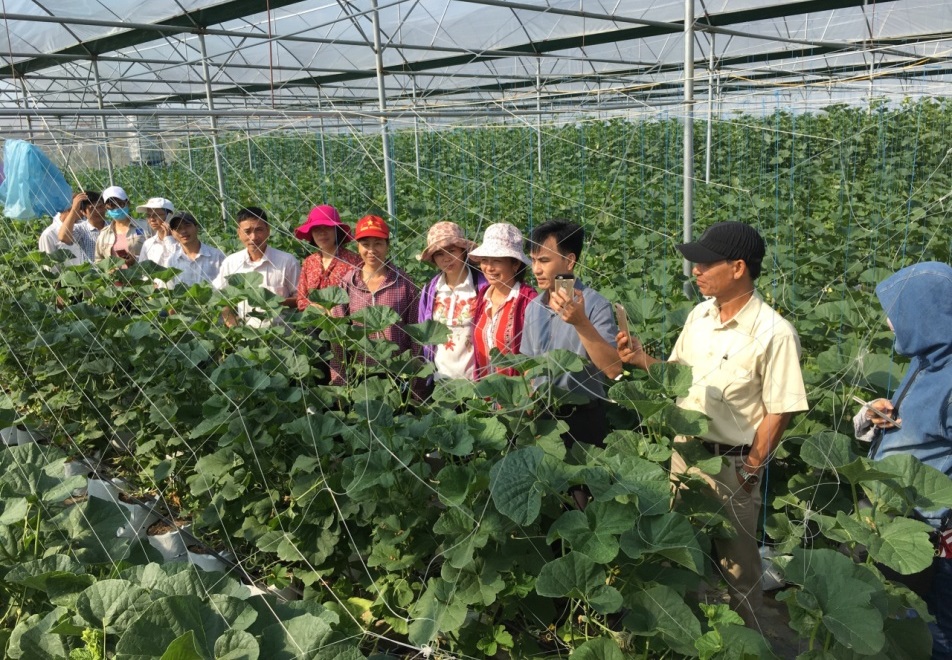 Những 'nông dân công nghệ' ở Hải Dương