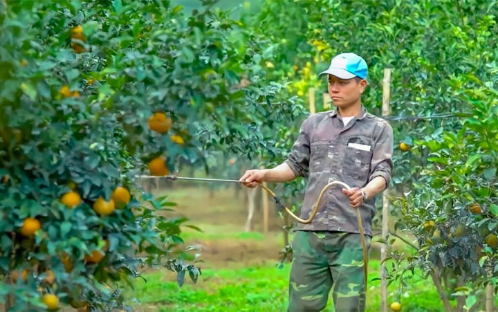 Gỡ 'nút thắt' để thu hút người dân tham gia chuỗi liên kết HTX