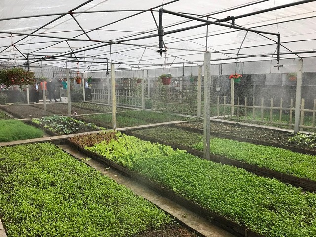 Lộc Hà tăng tốc về đích nông thôn mới