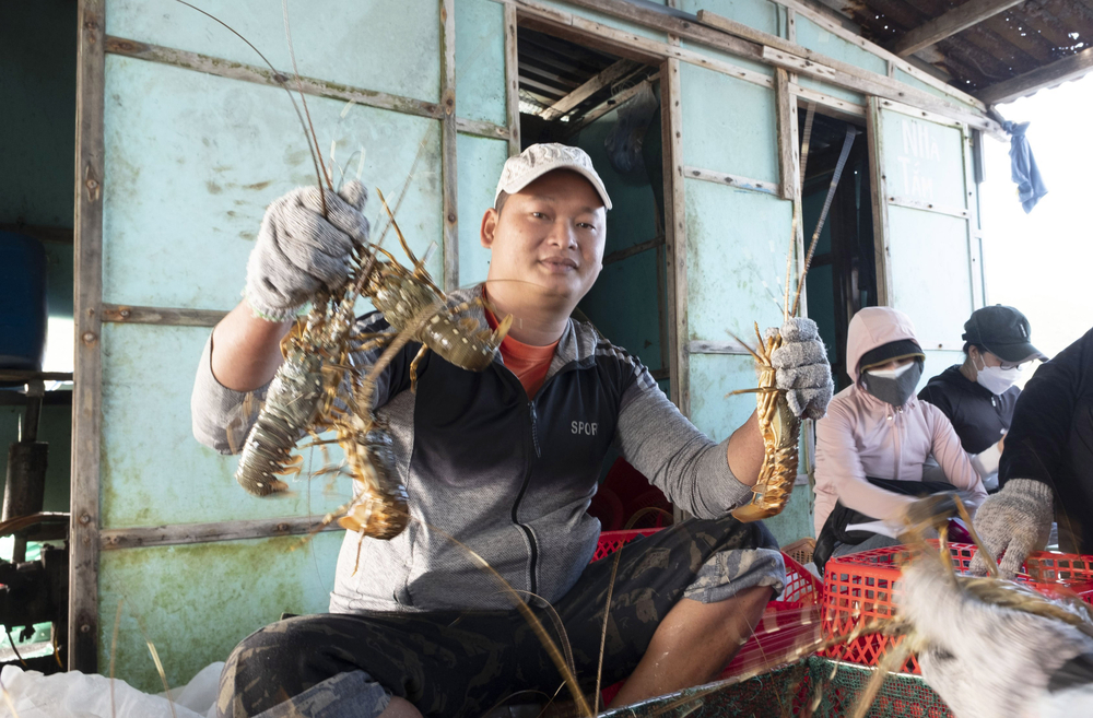 Nông thủy sản sang Trung Quốc ‘rộng cửa’ nhưng... vướng rào