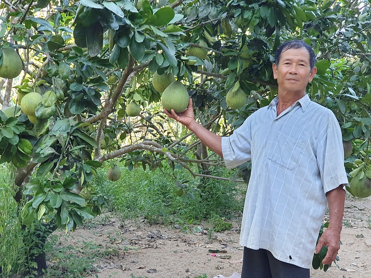 Đồng bào DTTS thoát nghèo bằng năng lực nội sinh