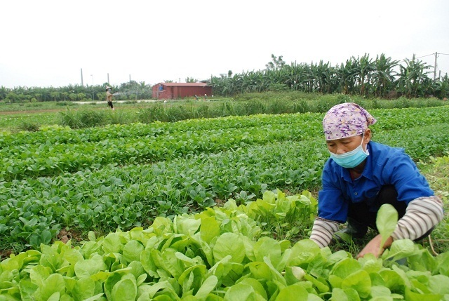 HTX chung tay cùng chính quyền xóa nghèo