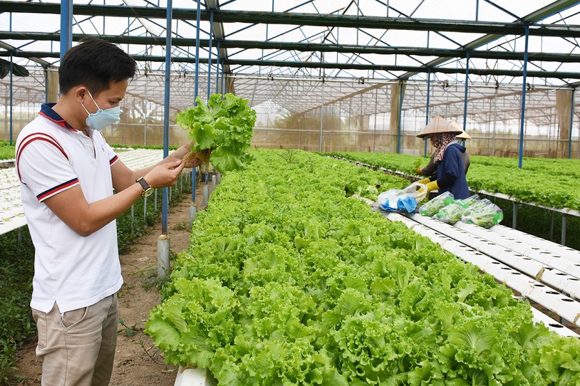 Phát triển chuỗi giá trị cần đi theo chiều sâu