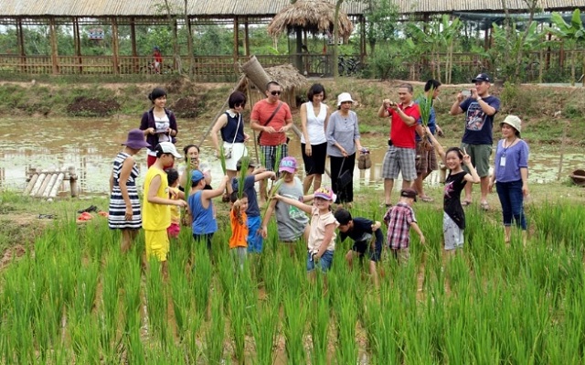 Phát triển du lịch nông thôn gắn với xây dựng NTM bền vững