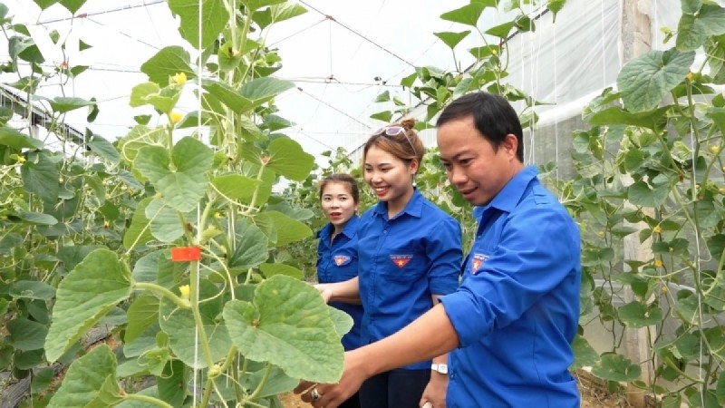 Về Yên Bái tham quan mô hình HTX “Sáu không” của thanh niên dân tộc Tày
