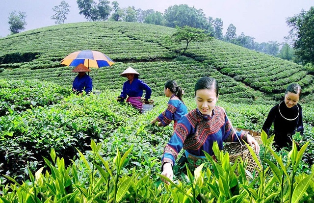 HTX mạnh dạn ứng dụng công nghệ, nâng cao giá trị sản phẩm