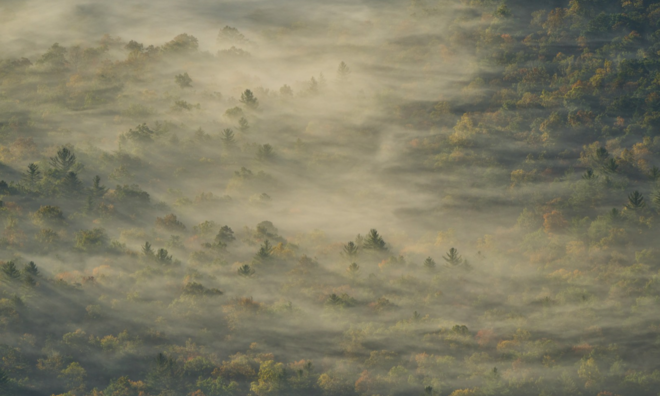<p>
<strong>Bắc Carolina, Mỹ</strong><br /><br /><em>Quang cảnh thung lũng sương mù nhìn thấy từ Blue Ridge Parkway của Bắc Carolina.</em><br /><br />Nhiếp ảnh gia tự do Tihomir Trichkov cho biết anh chụp bức ảnh này khi đang trên đường từ sân bay về nhà vào một buổi sáng sớm của tháng 10.<br /><br />Khung cảnh mô tả “một lát trời nhỏ mà tôi đang sống,” Trichkov nói về ngôi nhà của mình ở Highlands, North Carolina.</p>