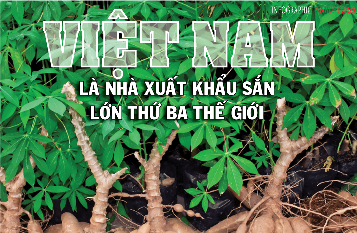 Việt Nam là nhà xuất khẩu sắn lớn thứ ba thế giới