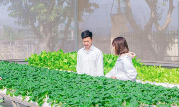 Sẽ có đổi mới và đột phá trong dự thảo luật HTX sửa đổi?