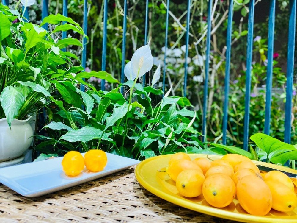 Sự thật thanh trà Thái giá rẻ bán tràn lan