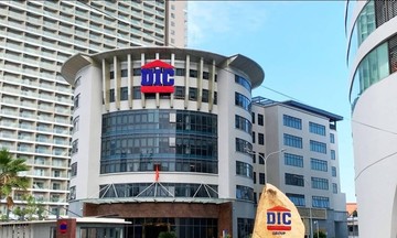 DIC Corp thay đổi cổ đông lớn nhất