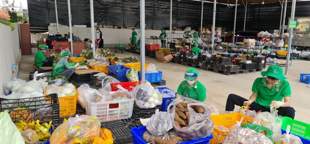 HTX có thu nhập cao nhờ ứng dụng công nghệ cao
