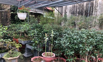 HTX Nông nghiệp Tân Lập: Đổi mới để thích ứng với đô thị hóa