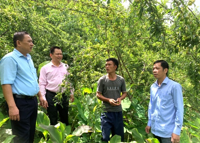 Khởi sắc ở vùng 'lõi nghèo' của Hà Giang