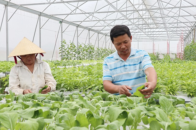 Thúc đẩy công nghệ số, hướng đến nông nghiệp xanh ở Thủ đô