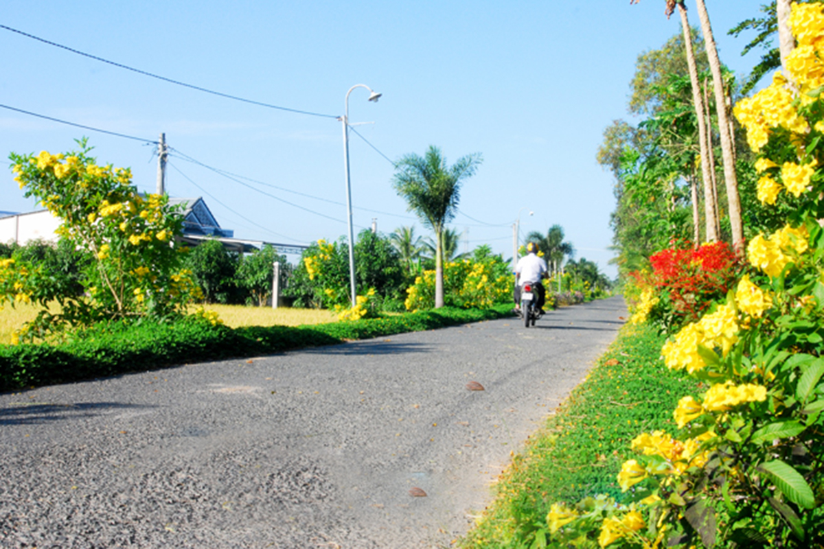Nông thôn mới Long Phú chuyển mình nhờ nông nghiệp 4.0
