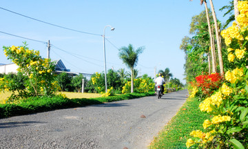 Nông thôn mới Long Phú chuyển mình nhờ nông nghiệp 4.0