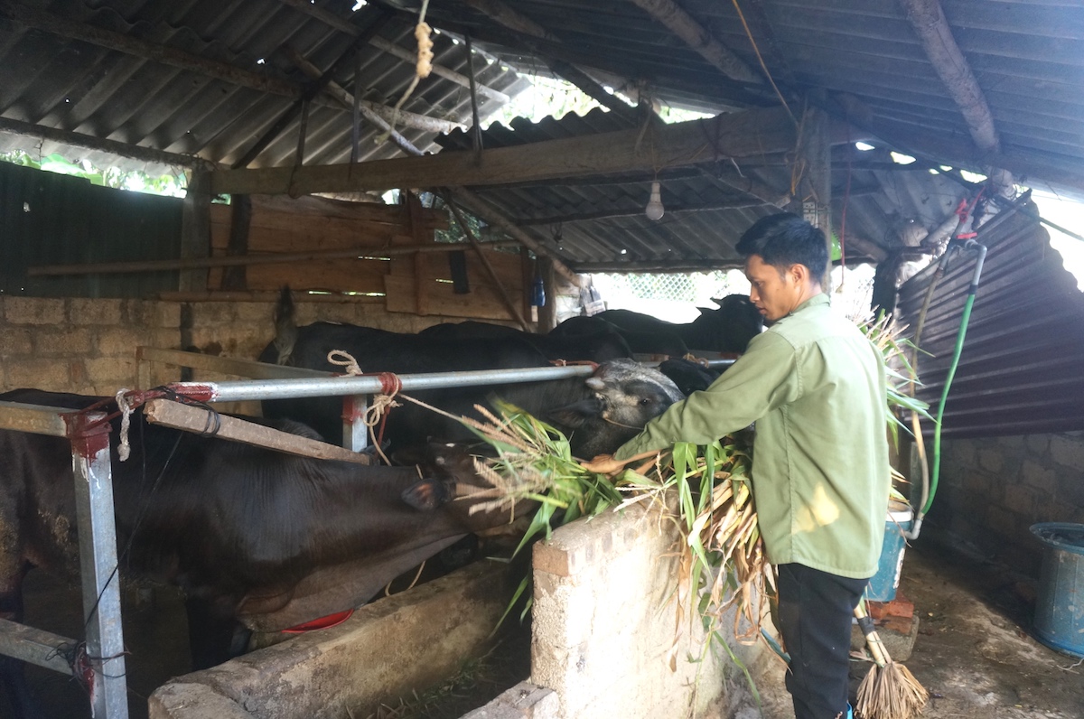 Trăm 'kế' giúp đồng bào dân tộc thiểu số ở Đồng Hỷ thoát nghèo