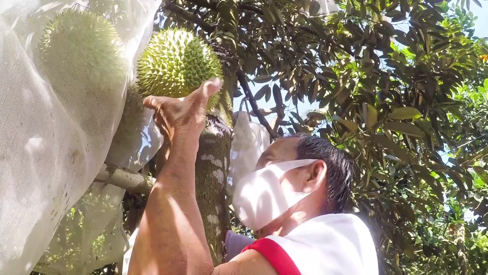 Nông thôn mới với sức bật từ kinh tế nông nghiệp