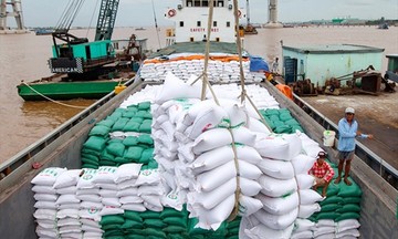 Xuất khẩu gạo thêm cơ hội khi Indonesia muốn mua 2 triệu tấn gạo dự trữ