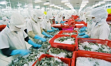 Xuất khẩu nông sản giảm mạnh, Bộ NN&amp;PTNT 'không bất ngờ'