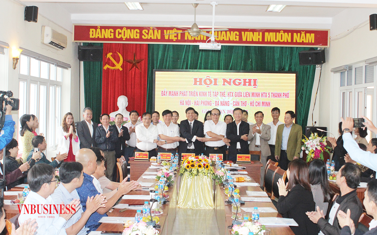 5 'đầu tàu' kinh tế lập khối liên kết, tạo động lực cho khu vực HTX bứt tốc