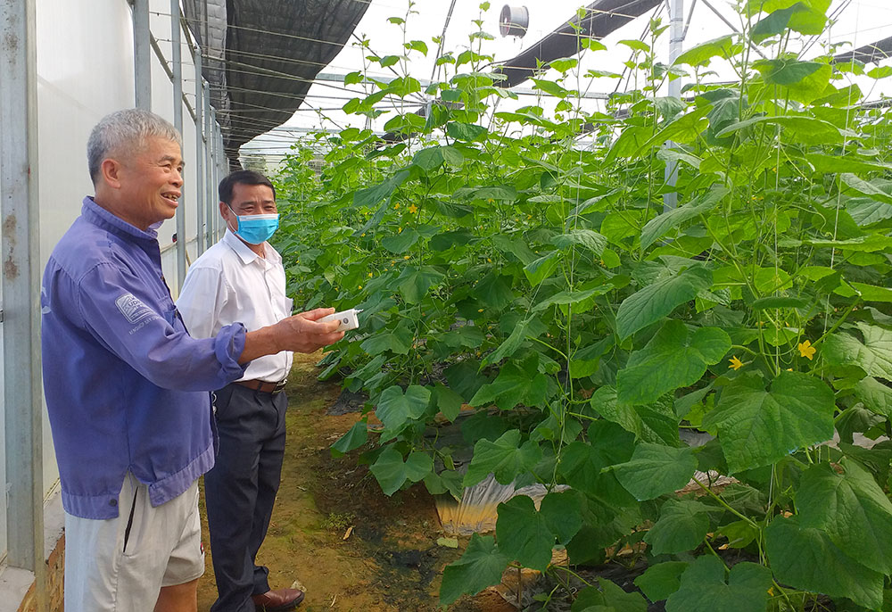 HTX phải tự bươn chải vì yếu về quyền tài sản