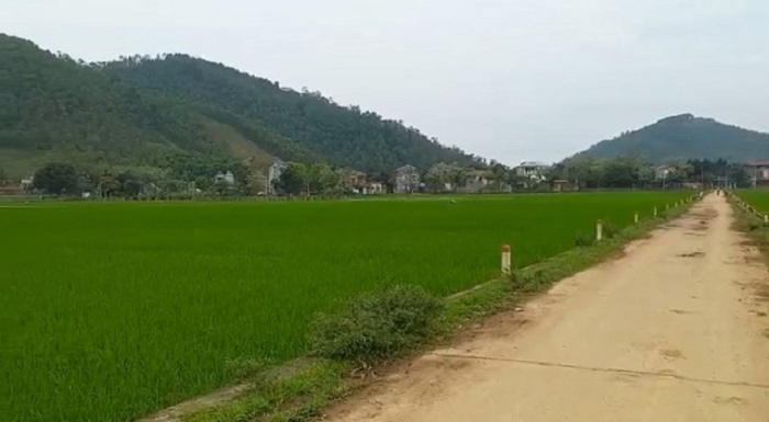 Tập trung rà soát, xử lý các dự án chậm triển khai tại huyện Thạch Thất