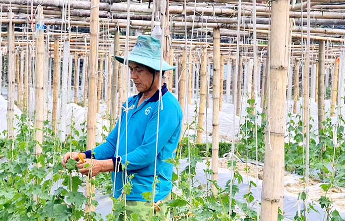 Giải mã thành công trong xây dựng nông thôn mới ở Hải Dương