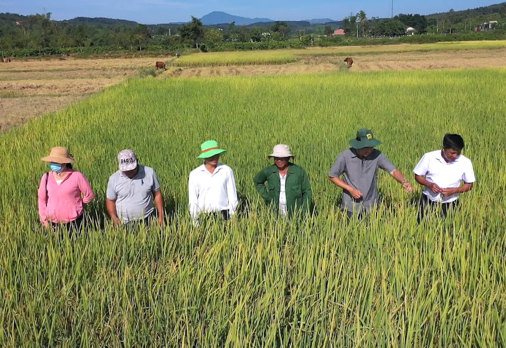 Tham gia HTX giúp người dân Lộc Khánh hết cảnh bấp bênh