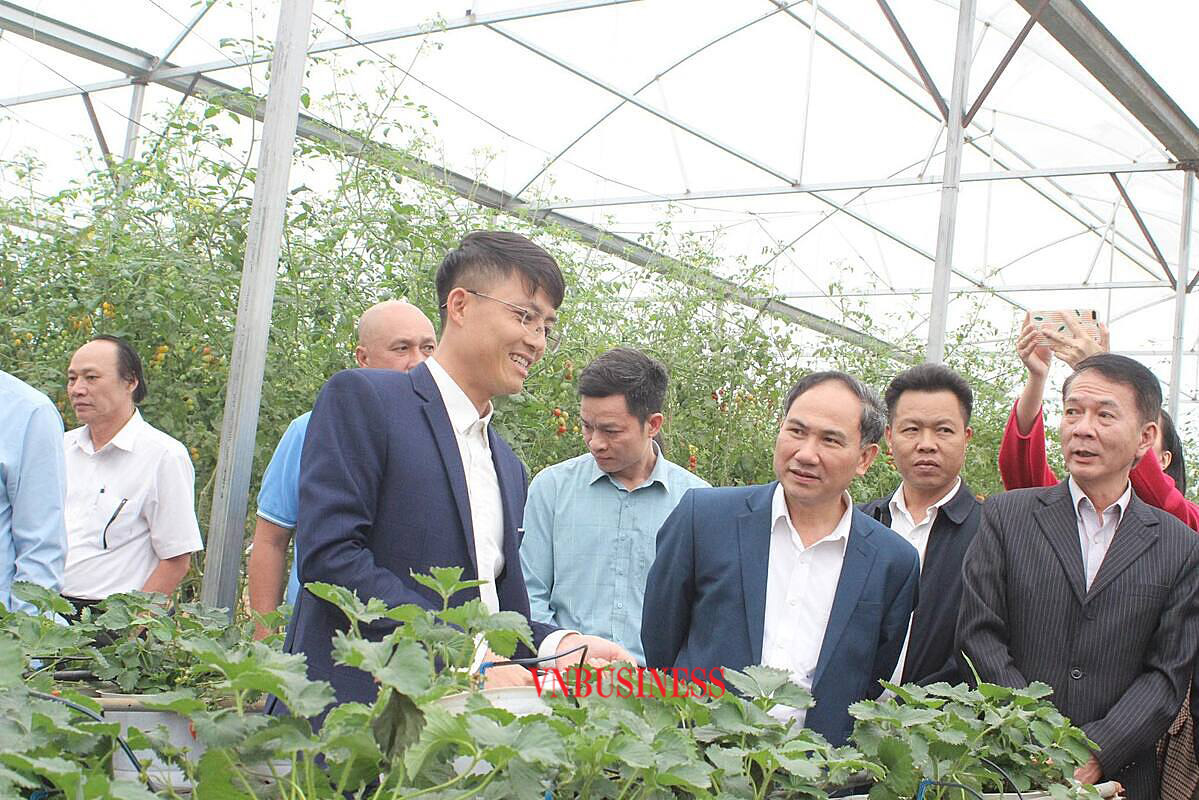 HTX thu ‘bạc tỷ’ nhờ ứng dụng công nghệ vào trồng dâu tây
