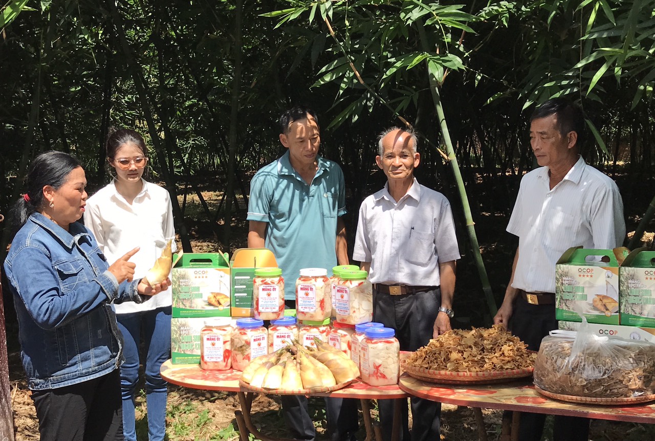‘Bà đỡ’ cho tăng trưởng kinh tế tập thể, HTX ở Bắc Giang