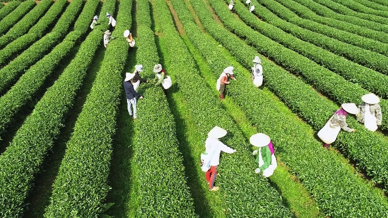 HTX và sức mạnh của hợp tác, liên kết