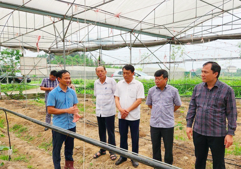 Hà Tĩnh: Hiệu quả kinh tế cao từ mô hình HTX hữu cơ gắn với du lịch sinh thái