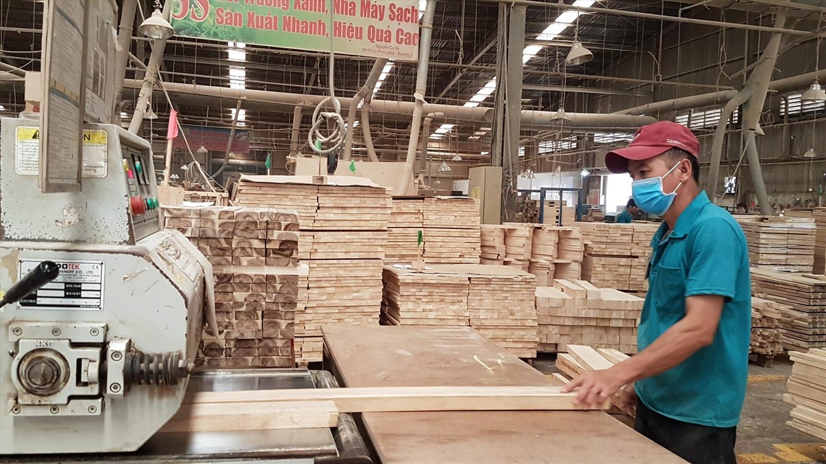 Nhiều doanh nghiệp gỗ bị đình chỉ hoạt động nhà máy vì vướng quy định phòng cháy chữa cháy