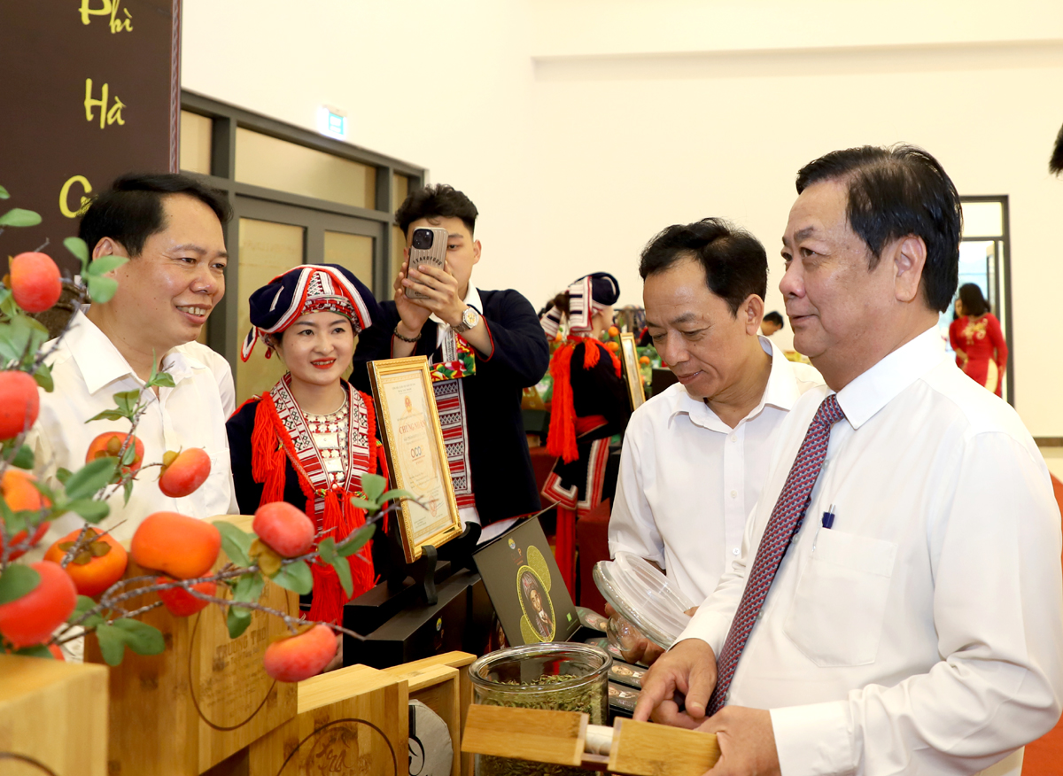 Đồng bào Dao đỏ ‘hái tiền tỷ’ từ cây chè cổ thụ