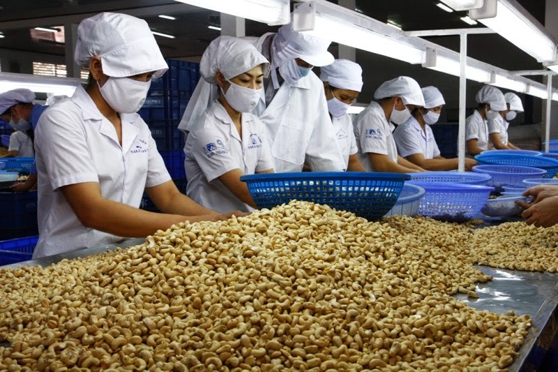 Nhập khẩu hàng chục nghìn tấn điều nhân, thương hiệu điều Việt Nam bị đe dọa