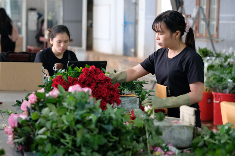 Đồng hành, khuyến khích nông dân, thành viên HTX thay đổi tư duy sản xuất