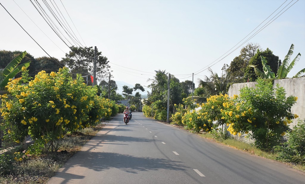 Tín đồ đạo Bửu Sơn Kỳ Hương chung sức xây dựng vùng quê Nghĩa Thành giàu đẹp