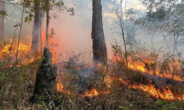 El Nino trở lại, Bộ NN&amp;PTNT cảnh báo cháy rừng ở cấp cực kỳ nguy hiểm
